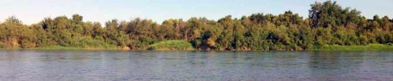 Área medio ambiente - Ayuntamiento Pina de Ebro