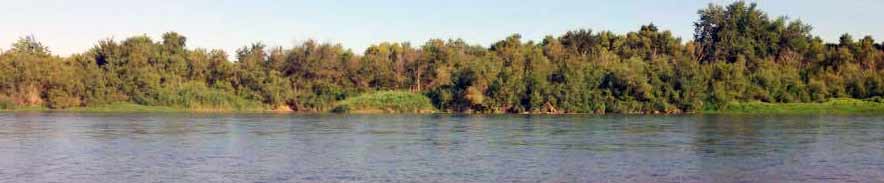 Área medio ambiente - Ayuntamiento Pina de Ebro