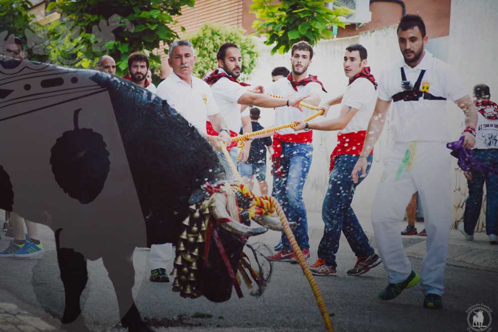 Fiestas en Honor a San Juan