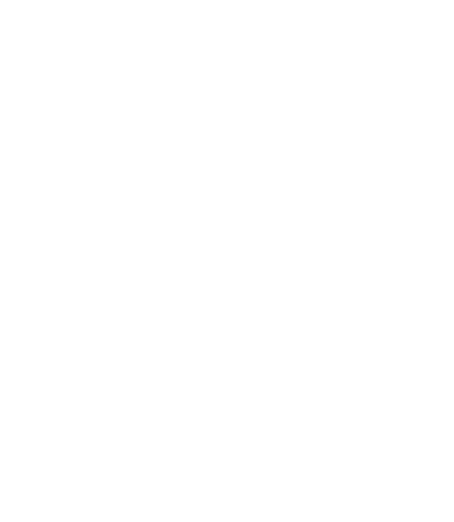 Escudo blanco Pina de Ebro 2