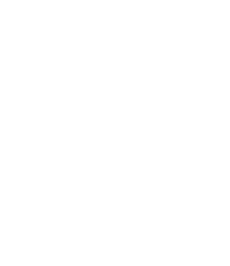 Escudo blanco Pina de Ebro