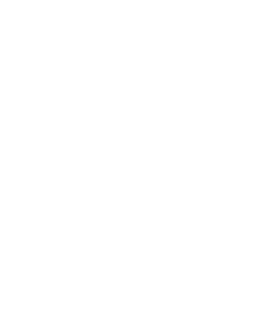escudo y titulo vertical blanco Pina de Ebro 2