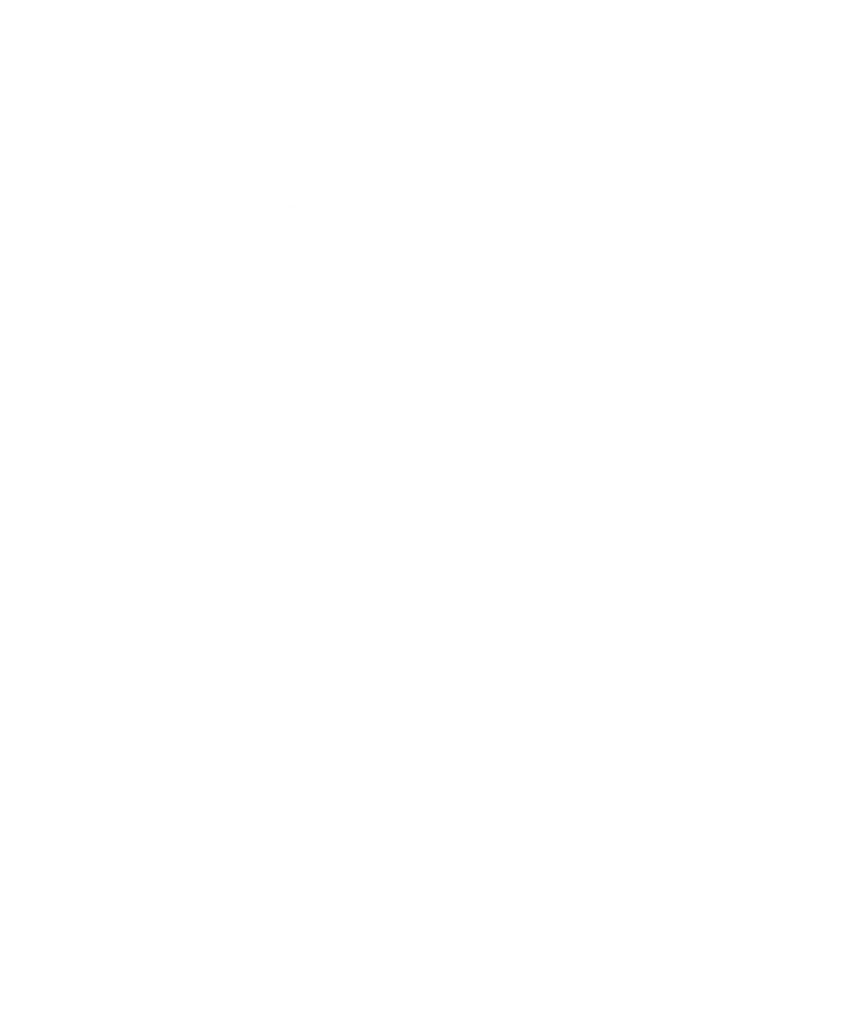 Escudo y titulo vertical blanco Pina de Ebro